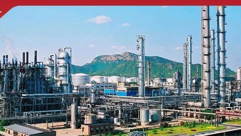 建筑用高分子板材：价格解析与选购要点**